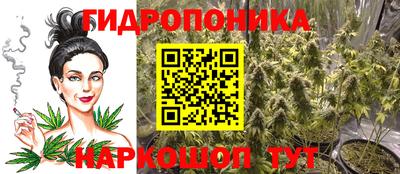 гашик Старая Купавна
