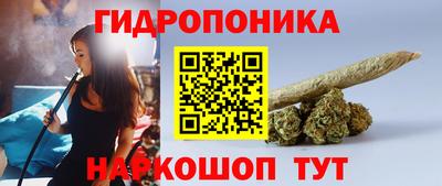 гашик Старая Купавна