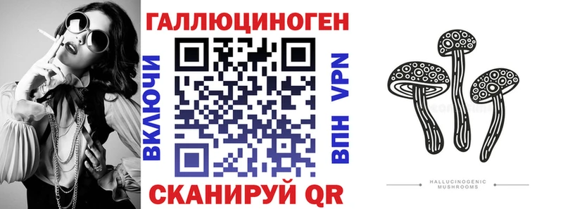 где найти наркотики  Липецк  Псилоцибиновые грибы GOLDEN TEACHER 