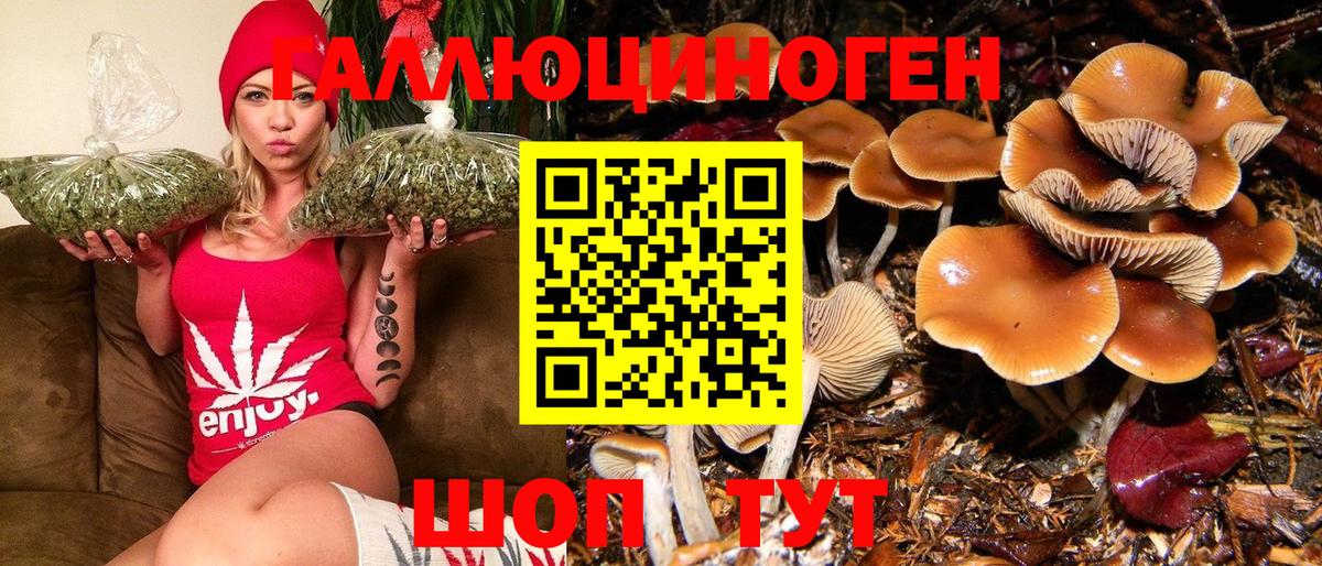 Псилоцибиновые грибы ЛСД Липецк