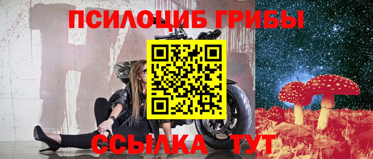 Галлюциногенные грибы мицелий  Вход с VPN  Липецк 